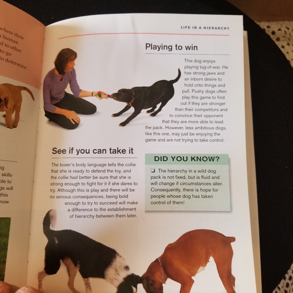 Dog Book - Picture 7 of 14